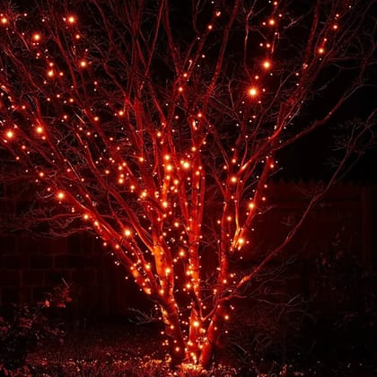 SPARKWORLD 21 Meter Orange LED Rice Lights (Pack of 3) | Decorative Ladi for Festivals, Balcony, Garden, Wedding & Parties