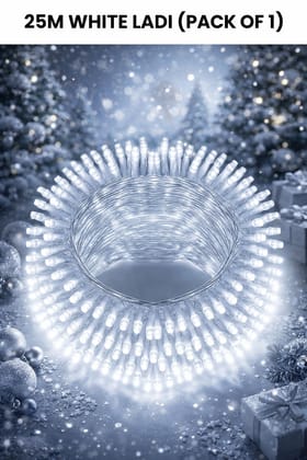 SPARKWORLD 25 Meter White Rice Lights with 74 LEDs | Decorative Steady Glow Fairy Lights for Home, Festivals & Events (Pack of 1)