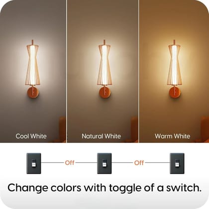SPARKWORLD Cage Line Rose Gold Wall Light | Colour: LX267WL/12W/PB