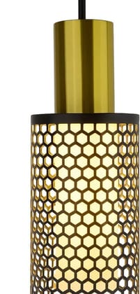 SPARKWORLD Metal-cage pendant light Pendants Ceiling Lamp (Black)