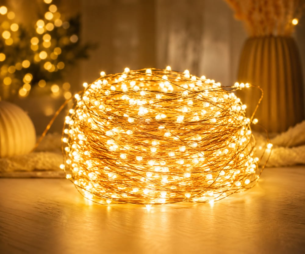 Rice Lights & Decorative Lights