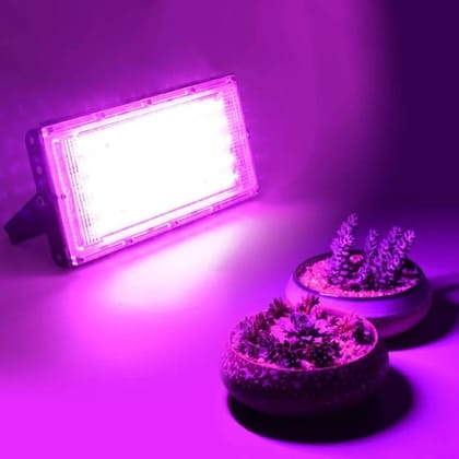 SPARKWORLD Pink Flood Light Outdoor Lamp | Colour: Pink (Pack of 1)