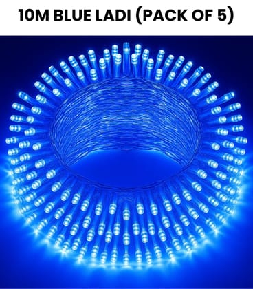 SPARKWORLD 10 Meter Blue LED Rice Lights Decorative Ladi for Festivals & Events (Pack of 5) with Free Jointer (7+1) SPARKWORLD 10 Meter Blue LED Rice Lights Decorative Ladi for Festivals & Events (Pack of 5) with Free Jointer (7+1)