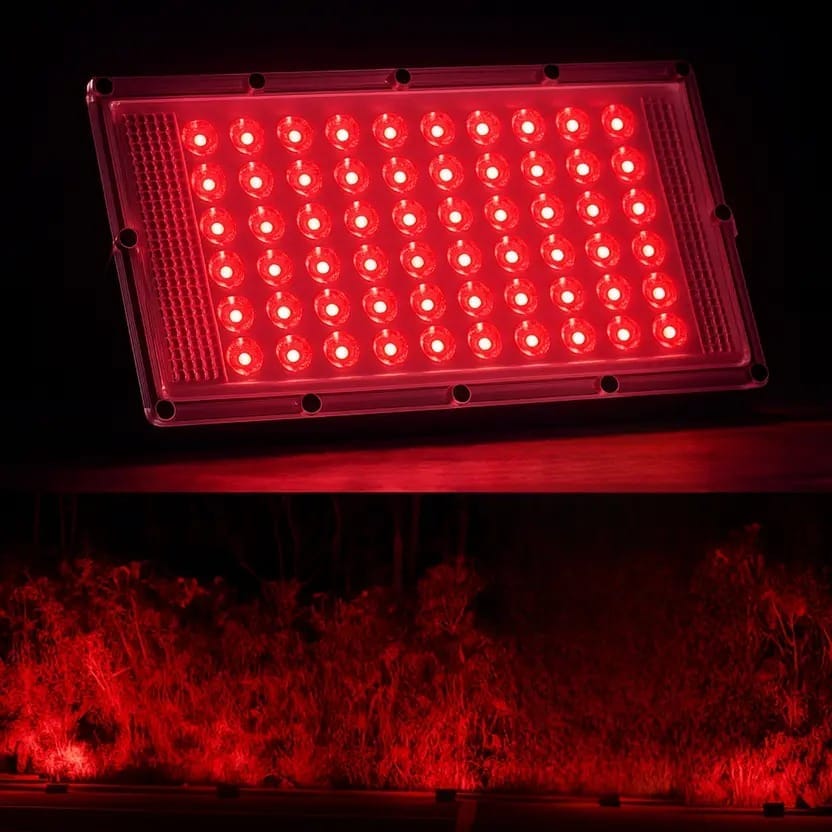 SPARKWORLD 50 W Red LED Brick Flood Light IP65 Waterproof Outdoor Spotlight | Colour: Red (Pack of 1)