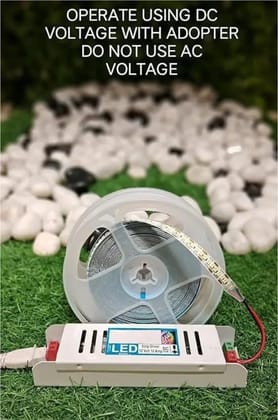 SPARKWORLD 240 LEDs 5 m White Steady Strip Rice Lights (Pack of 5)