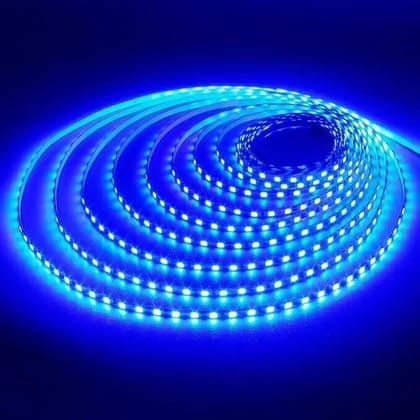 SPARKWORLD 240 LEDs 5 m Blue Steady Strip Rice Lights (Pack of 5)