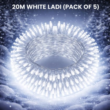 SPARKWORLD 20 Meter White LED Ladi Light (Pack of 5) | Cool White Decorative String Lights for Festivals, Weddings & Home Decor