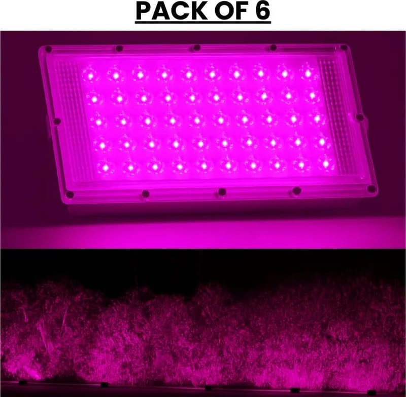 ... ...