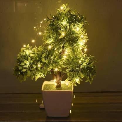 SPARKWORLD LED Cork Fairy Bottle Lights (Pack of 2) Warm White Decorative String Lights for Bottle Decor, Gifting & Festive Use | Size: 1.98 m